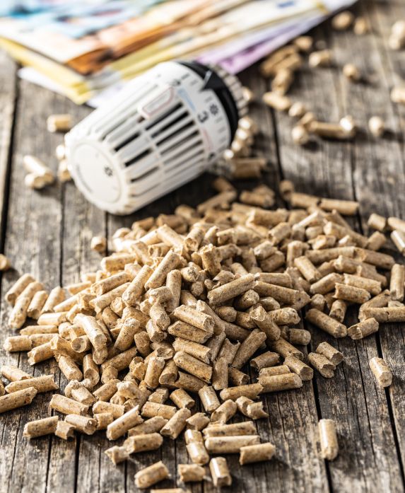 Holzpellets, ein Heizungsventil und Geldscheine